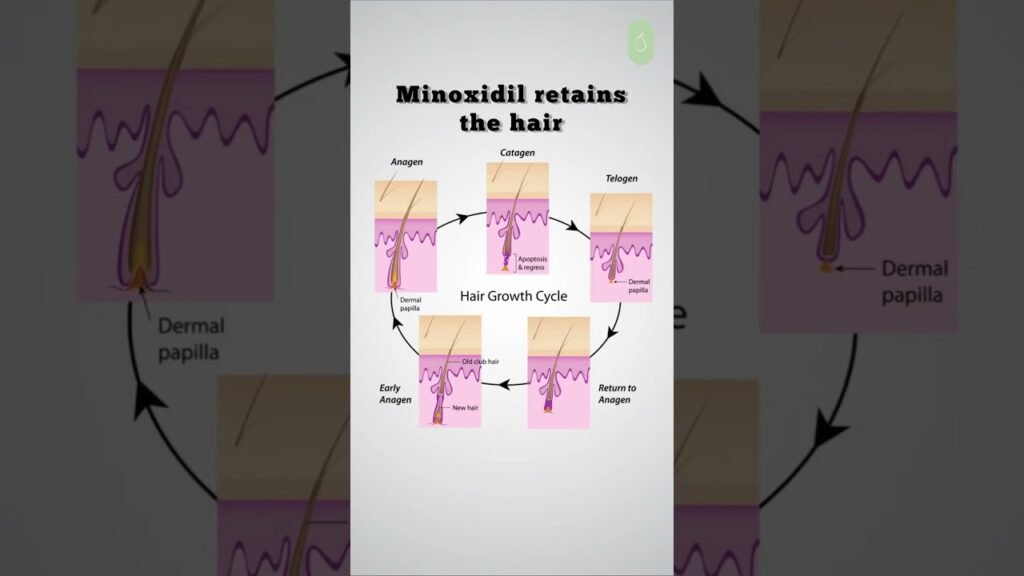 Should you worry about Minoxidil and heart rate